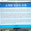 볼거리가 많아 걷기 좋은 대전 소제동 대동천길 탐방 후기