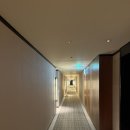 제네시스비지니스호텔 | [장충동/호캉스] 신라호텔서울 투숙후기, 조식뷔페 (제네시스 프리빌리지_비즈니스 디럭스)