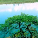 보성건설(주) 이미지