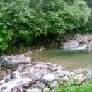 미사리촌집 이미지