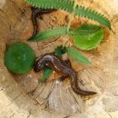 성지농원 이미지