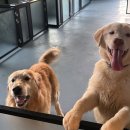 카페훈트 이미지