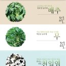 농업회사법인도리돌마을 네이버블로그