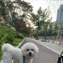 푸드르르 이미지