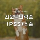 제일2차동물메디컬센터 이미지