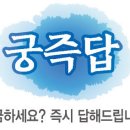 궁 이미지