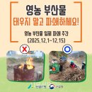 산림영농조합