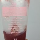 벨르제이 비트베리 내돈내산후기