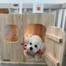 즐거운유치원 이미지