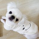 그루밍케이 이미지