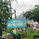 까사338(Casa338)