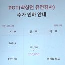 통배 | PGT 검사 비용 시간 통배 결과 후기