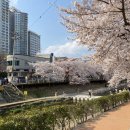 천곡셀프세차장 이미지