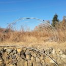 김재근농장 이미지