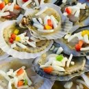 바다마을사람들 이미지