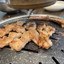 기장애견 이미지