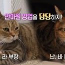 포항이동안마원 이미지