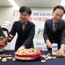 타파 이미지