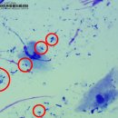 동그라미 동물의료센터 이미지