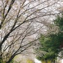 티스테이션 부개점 이미지