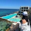 (주)세웅정비지점 | 시드니 필수코스, 코스탈워크 쿠지비치→본다이비치 8km 후기 &amp; 꿀팁 총정리