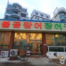 롯데프리미엄아울렛올젠