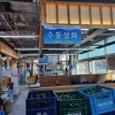 [가락시장 회센터] 수동상회_ 제철 방어 회 먹기 좋은 송파 횟집 맛집
