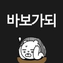 🌀야 너두 될 수 있어, 돌고래🐬 &lt;나자레 서프하우스&gt;