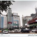 국립중앙의료원 이미지