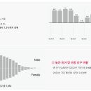 싹트는 날개 이미지