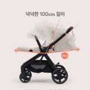 알로(Allo) 이미지