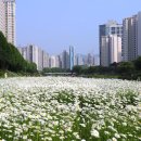 비산사거리_하 이미지