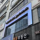 대광프라자 | 시흥 <에이바헤어 장곡점> 두피 스켈프 후기