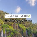 안산자락길 숲속카페 이미지