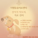 더엘동물의료센터 이미지
