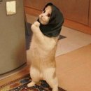 마라도횟집 이미지