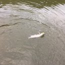 무지개낚시터 이미지