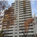 신길로42가길 이미지