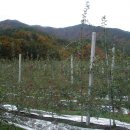 듬뿍농장 이미지