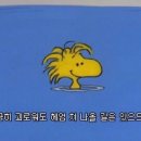 대지로2L 이미지