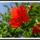 춤의정원 이미지