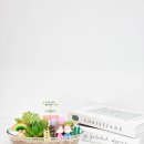 우리가족 정원 만들기 이미지