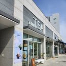 파주 눈꽃빙수 소울메이티 빙수 맛집 망고사고 까지