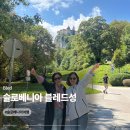 블레드 | 슬로베니아 여행 | 블레드성 전망대 올라가기 &amp; 입장료