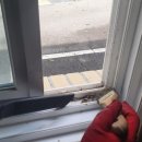 부산 혜남 학교 이미지