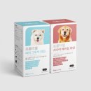 프롬퍼피 이미지