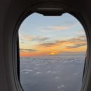 별뜨락하우스 | 제주 여행 (1) / 신동아렌터카 미니쿠퍼 컨버터블, 이재모피자, 더그랜드섬오름, 서작가초밥집, 포도...