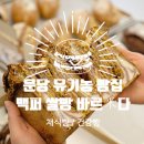 바르미상회 | 건강 수제 버거 ' 바미버거 ' | 100% 쌀빵 분당 빵집 < 바르미다 > (폐업)
