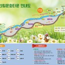 금산 자연 오토캠핑장 이미지