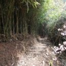 금계농로 이미지